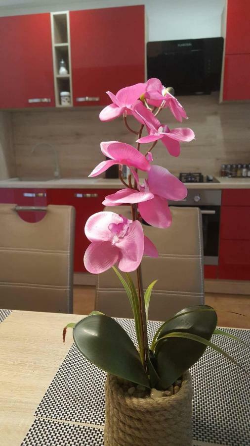 Apartment Goran & Nela 乌马格 外观 照片